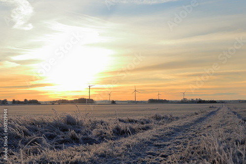 Large sun in the morning. Path to the sunrise. Winter landscape and snowy field. Sweden, December 2022.