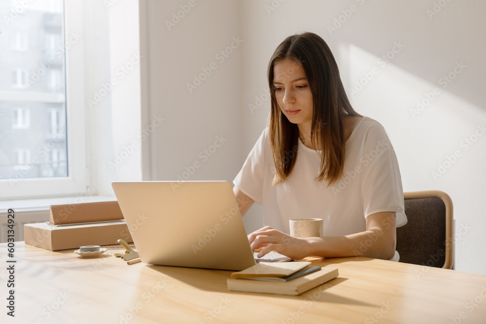 Sunny portrait of young beautiful woman working on laptop Sunny portrait of young beautiful woman working on laptop