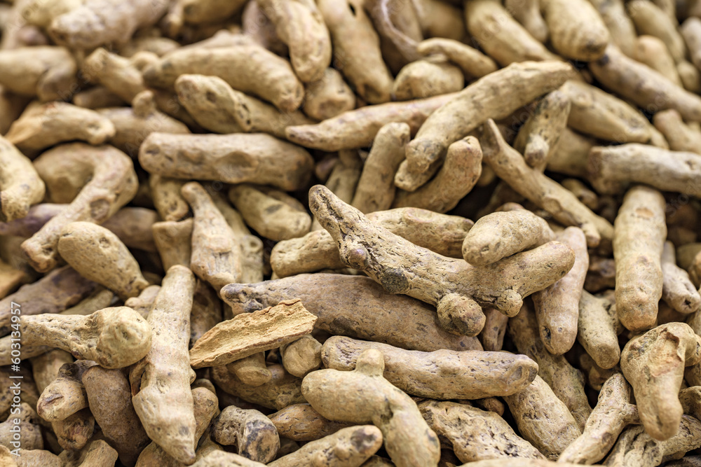 Dry turmeric roots in bulk at the oriental bazaar, selective focus Dry turmeric roots in bulk at the oriental bazaar, selective focus