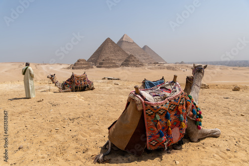 A colorfully saddled camel waits for its owner in front of the pyramids with a beautiful sky of Giza in Cairo Egypt