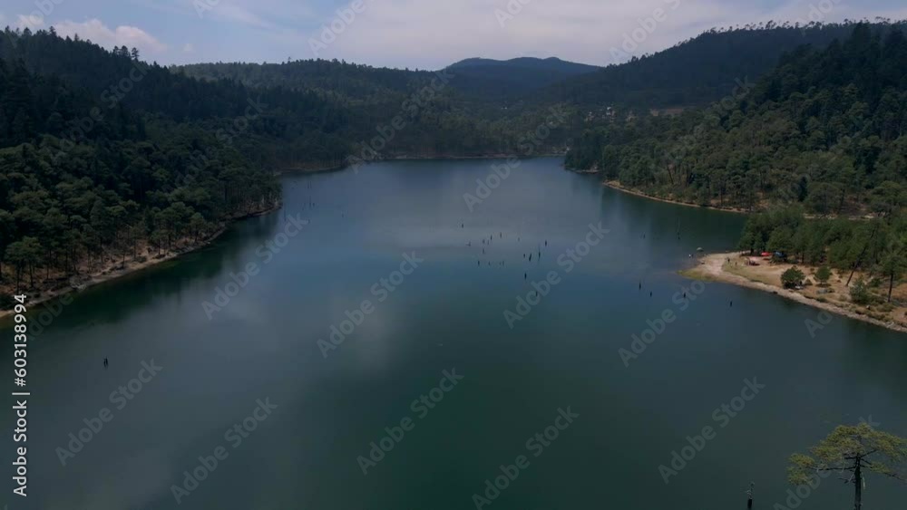 lago en medio del bosque lago en medio del bosque