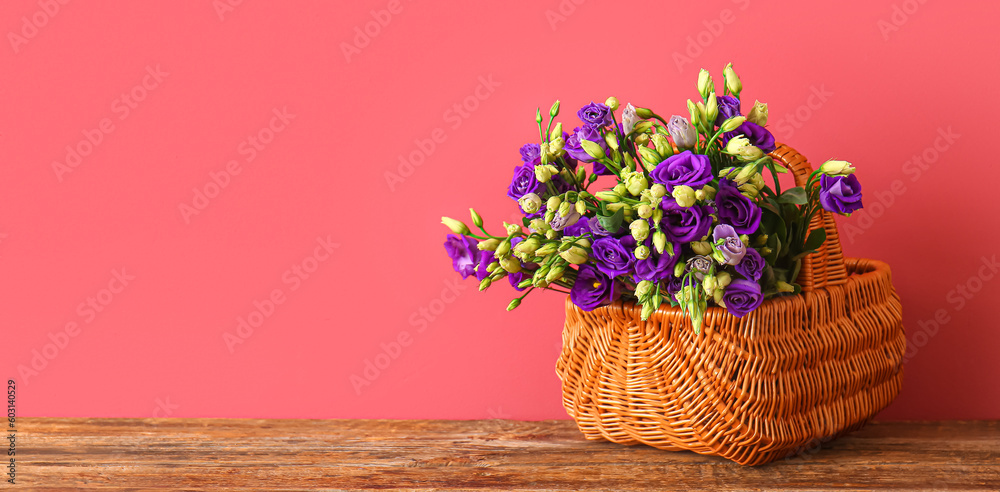 Basket with beautiful eustoma flowers on table near red wall. Banner for design