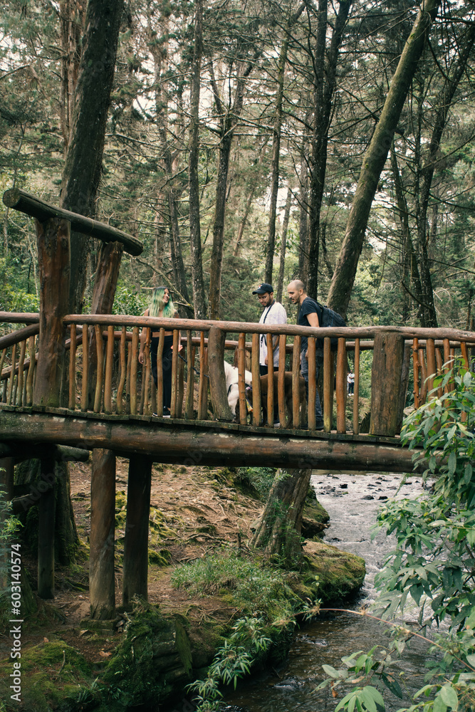 People and dogs crossing a wooden log bridge over a river