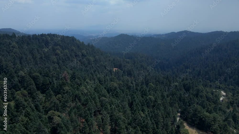bosque en el estado de mexico bosque en el estado de mexico