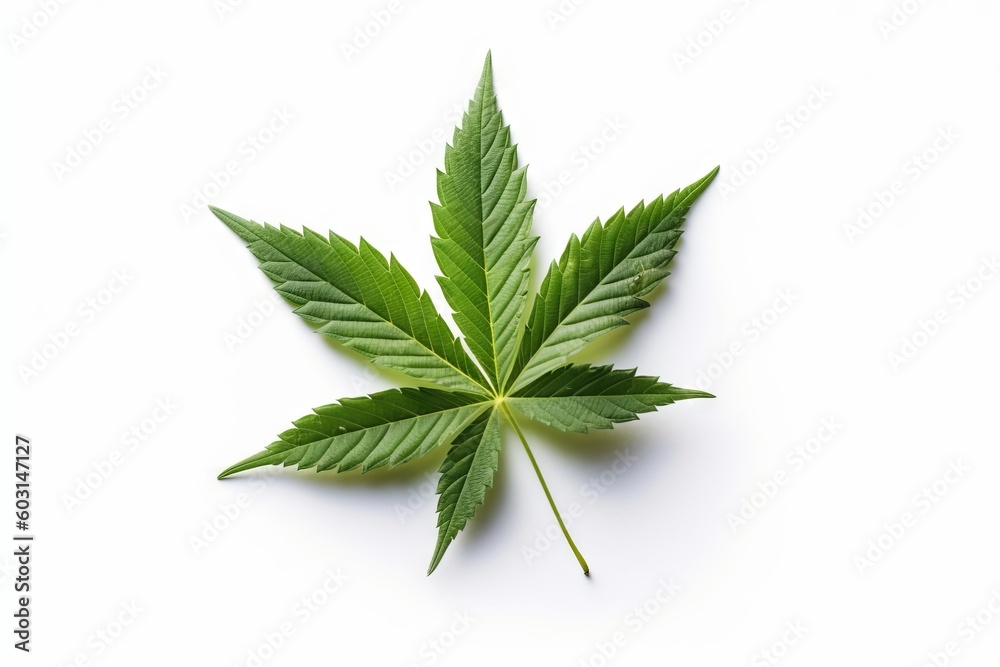 Marijuana Leaf on White Background: Vibrant Illustration, Generative AI Marijuana Leaf on White Background: Vibrant Illustration, Generative AI