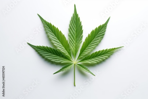 Marijuana Leaf on White Background  Vibrant Illustration  Generative AI