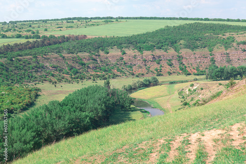 Green riverside valley surrounded by hills . Scenery of summer pasture