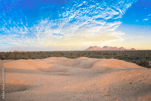 Beautiful view of the date grove from Gebel al-Mawta in Siwa Oasis, Egypt