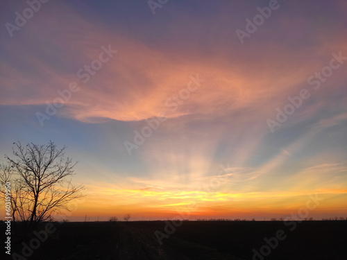 sunset in the fields © @foxfotoco