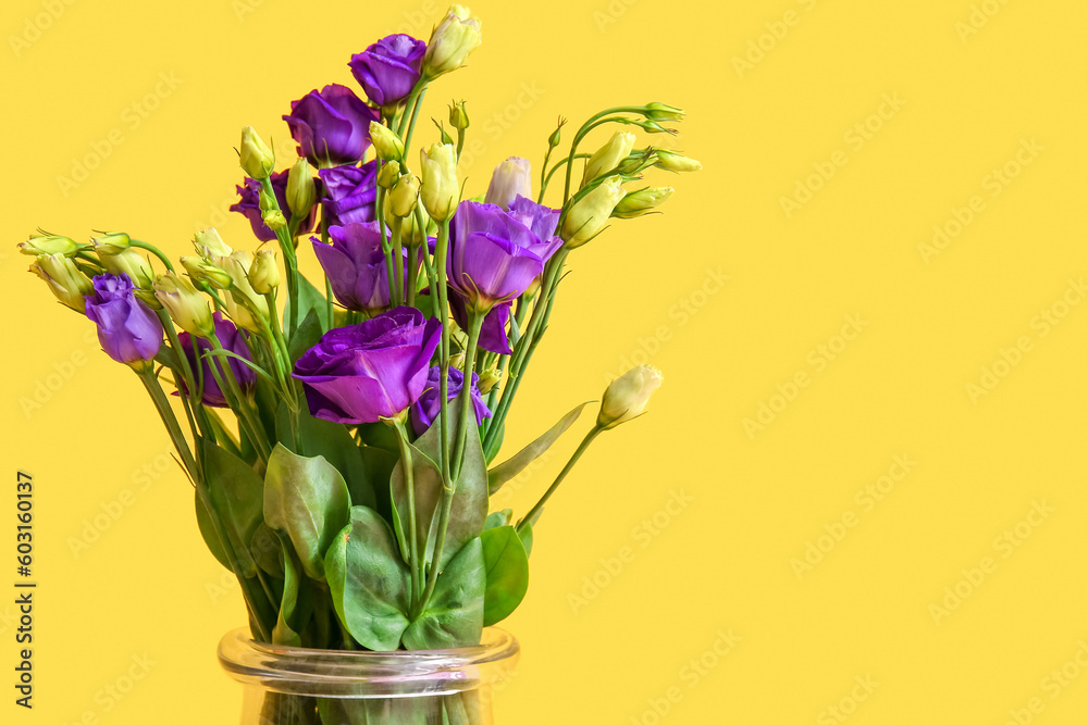 Eustoma flowers on yellow background Eustoma flowers on yellow background