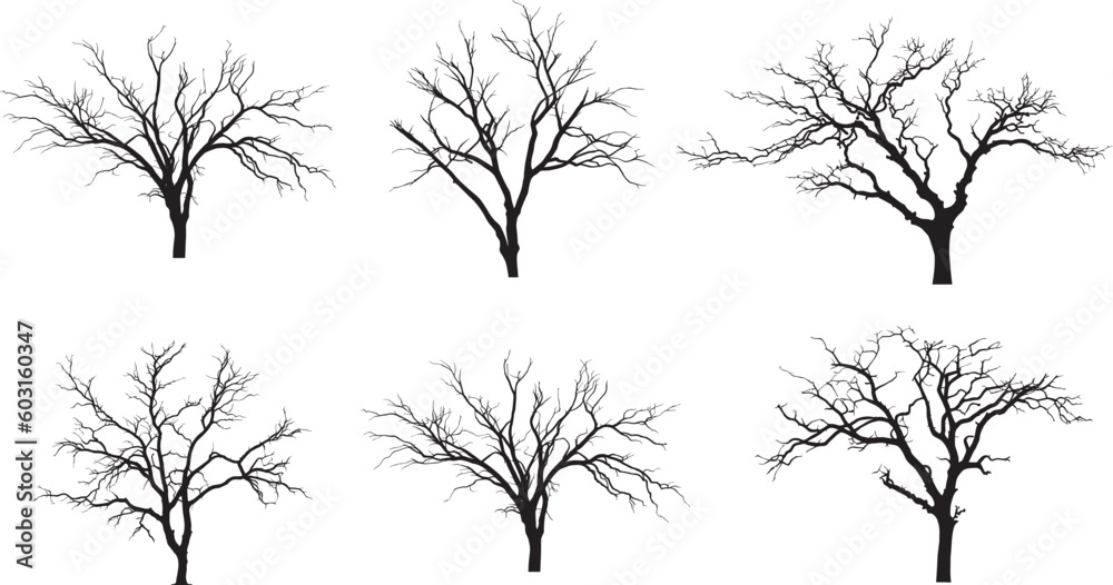 naked tree branches set. dead tree silhouettes set. tree branches  without leaves. Naked trees silhouettes set.