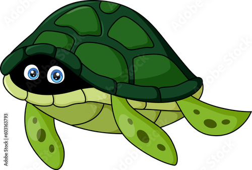 Cute hiding turtle cartoon with scared eyes