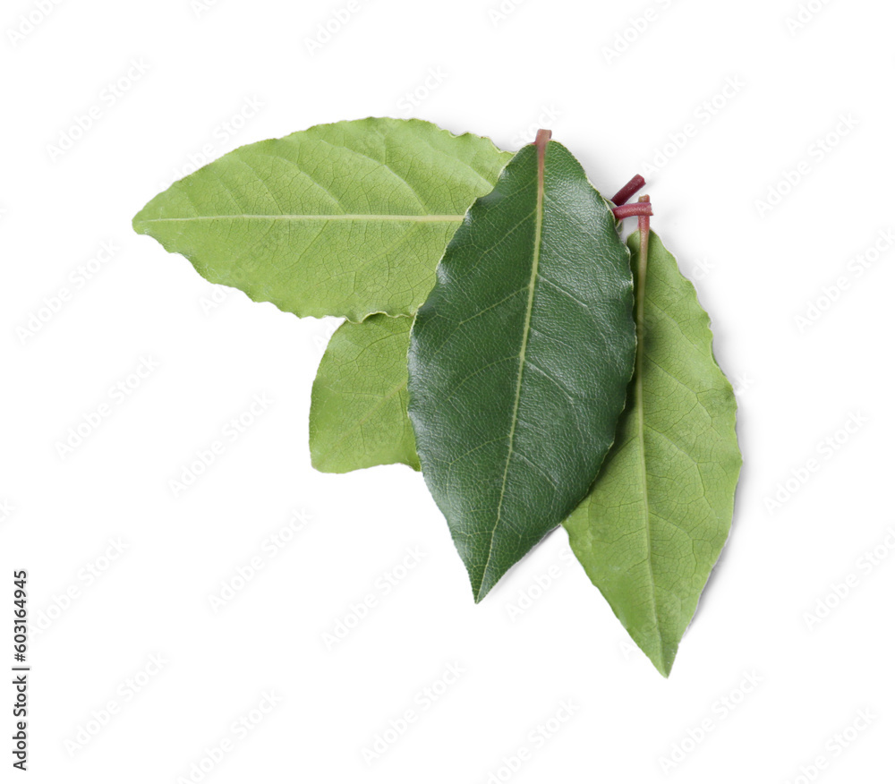 Fototapeta premium Fresh bay leaves isolated on white, top view