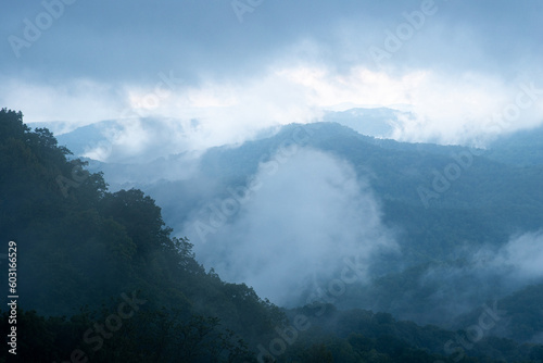 Evening Fog Rising Above Mountains