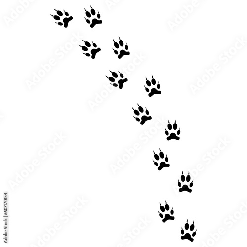 The silhouette of the traces of the, wolf, cat and the vbird. Vector illustration.