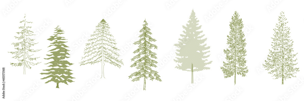 cad block pine tree line drawing for architecture and landscape design drawing - obrazy, fototapety, plakaty 