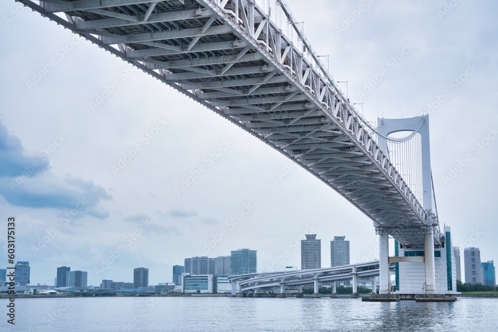 Obraz premium 下から見たレインボーブリッジ