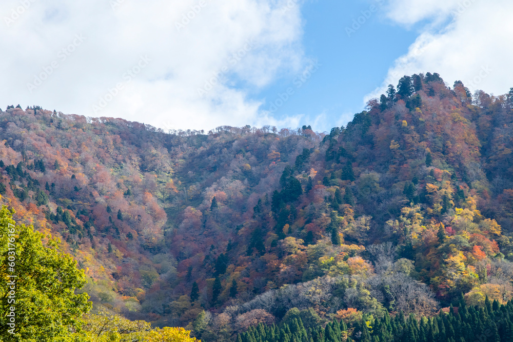 若桜氷ノ山の秋の風景 鳥取県 氷ノ山