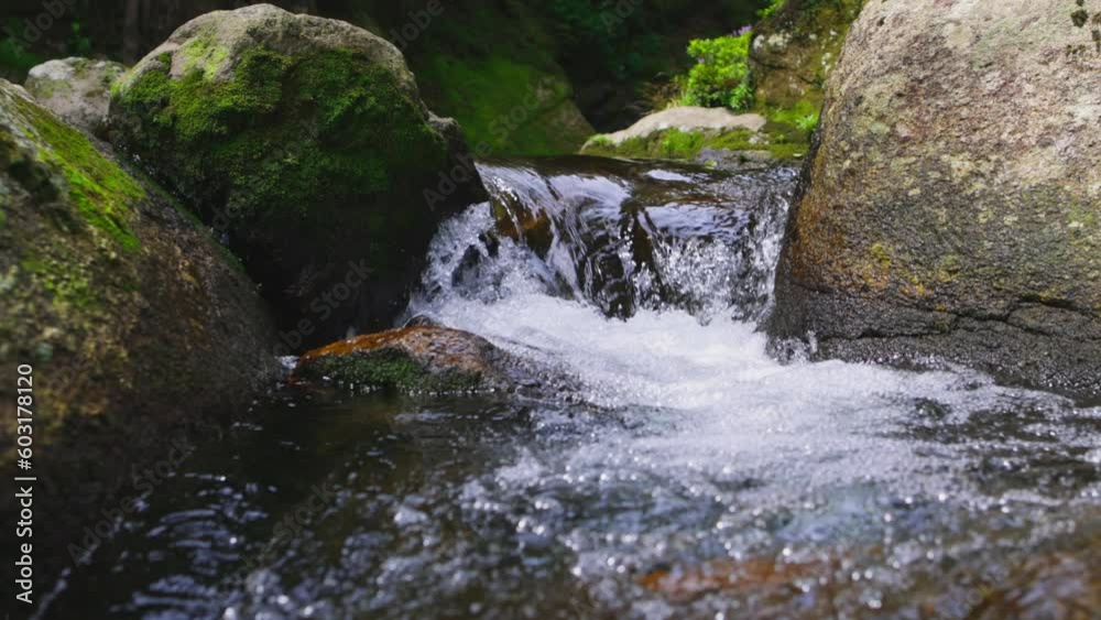 slow motion of crystal clear water of mountain stream, river rapids with flowing water, peaceful scenic creek in forest