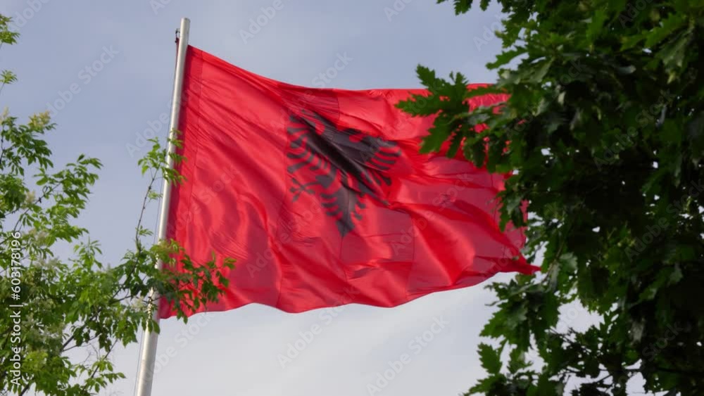 Albanian red flag with black eagle waving amidst lush green leaves