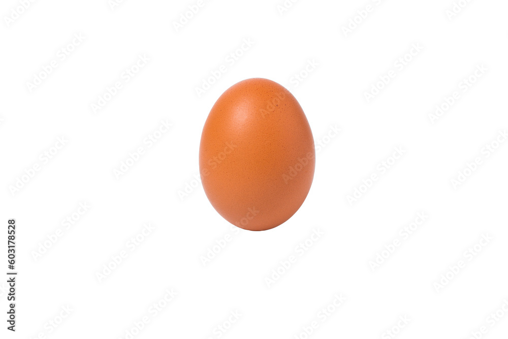 Egg isolated on white background. clipping path Egg isolated on white background. clipping path