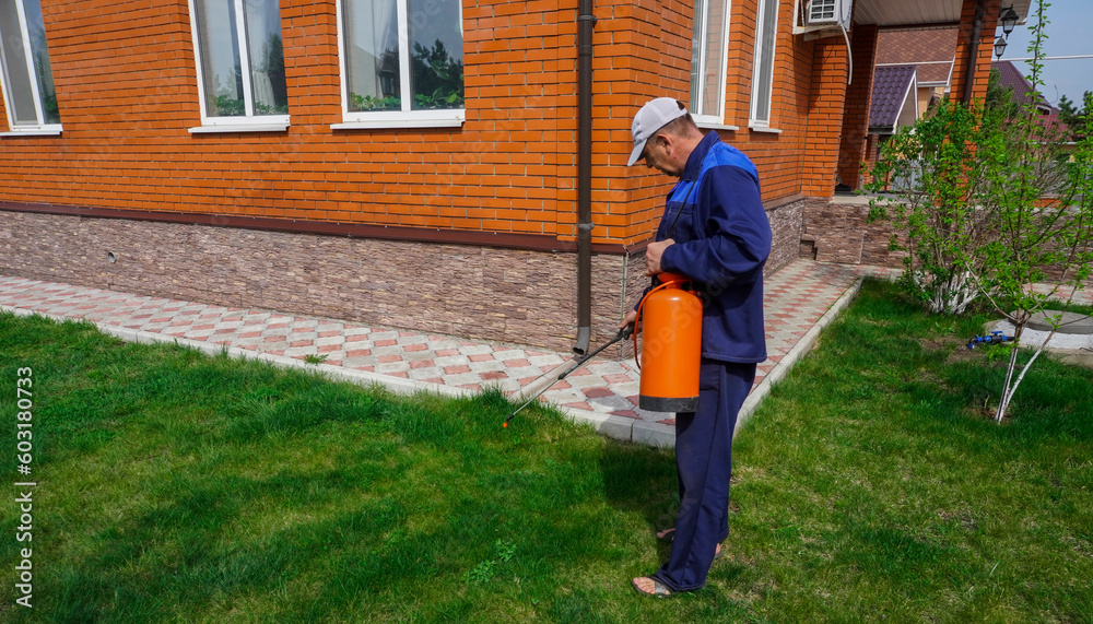 A man works in the garden, spraying weeds from a sprayer.