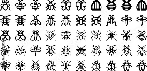 Set Of Insects Icons Collection Isolated Silhouette Solid Icons Including Set, Bug, Dragonfly, Insect, Vector, Ladybug, Beetle Infographic Elements Logo Vector Illustration © Abagael