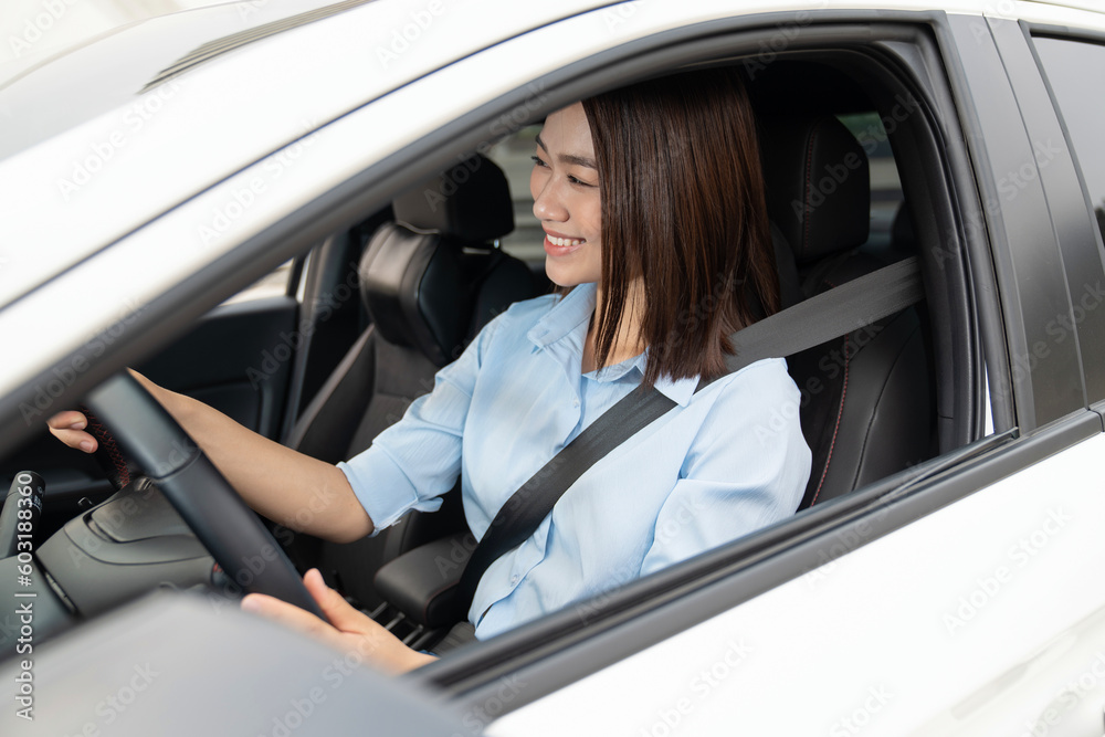 Young Asian woman with car