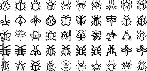 Set Of Insect Icons Collection Isolated Silhouette Solid Icons Including Beetle  Bug  Dragonfly  Insect  Set  Ladybug  Vector Infographic Elements Logo Vector Illustration