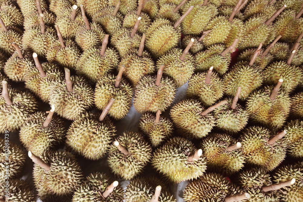 Top view of durian fruit on the floor 