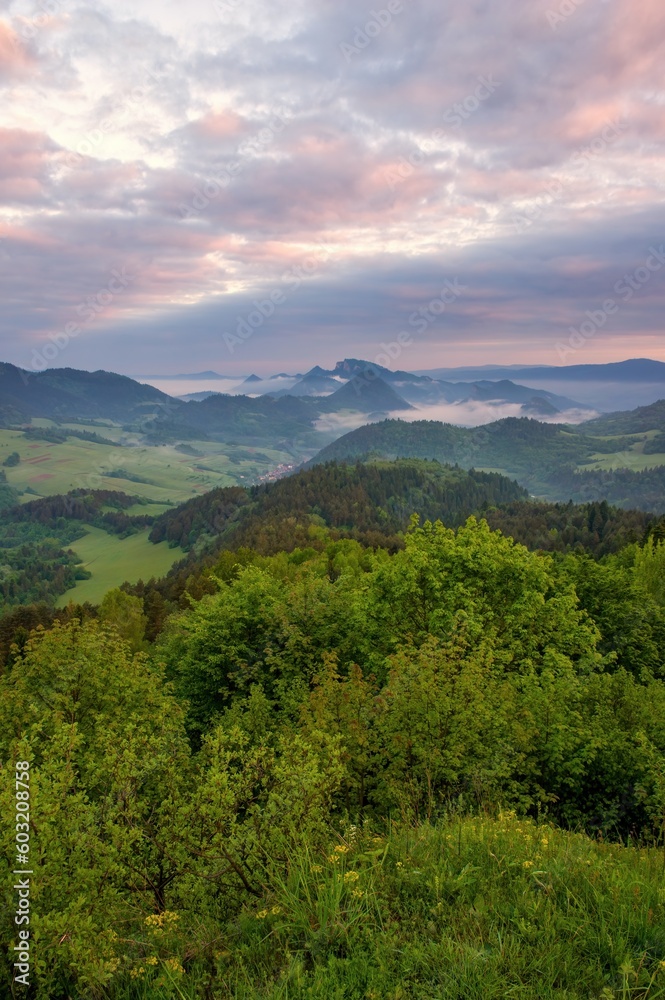 Misty morning with view of Trzy Korony (Three Crowns) peak in Pieniny National Park(Tri koruny, Pieniny, Pieninský národný park, Pieninski park narodowy ) Poland, sunrise with meadow an clouds.
