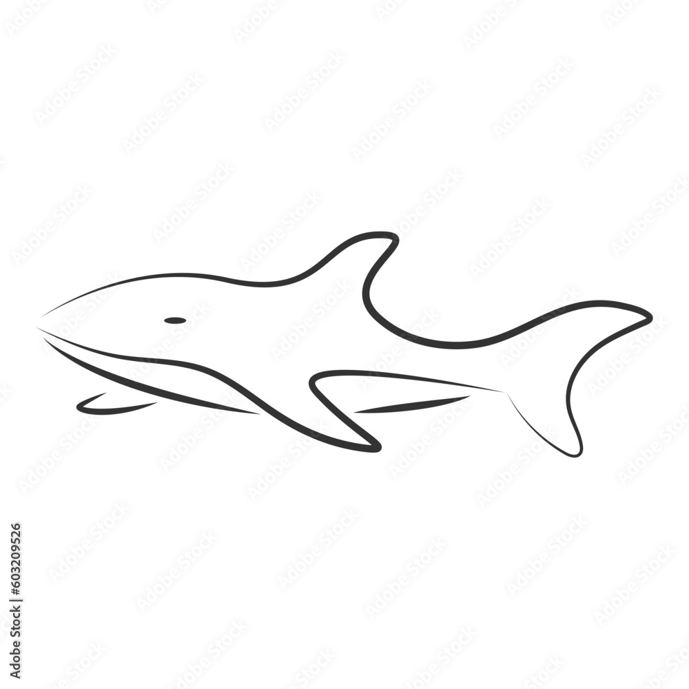 Obraz premium shark logo vector illustration design