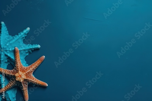 starfish on the flat surface © Yash