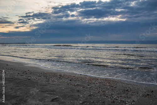 Sea  seashore  Waves over water  Landscape  nature