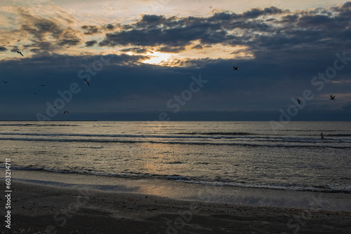 Sea  seashore  Waves over water  Landscape  nature