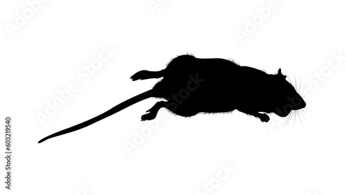 Dead Black Rat Silhouette Vector