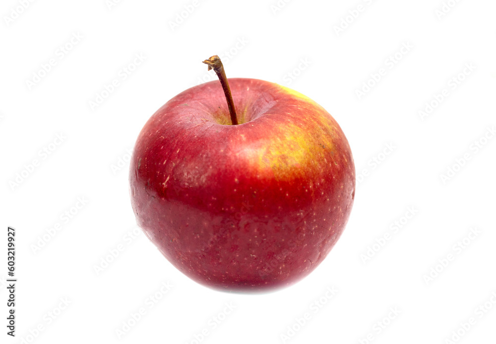 ripe apple isolated on white background ripe apple isolated on white background