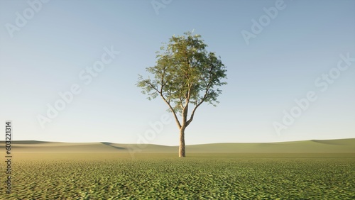 A green fruitful tree in the middle of the field with green ground. Maintain a healthy green fruitful environment