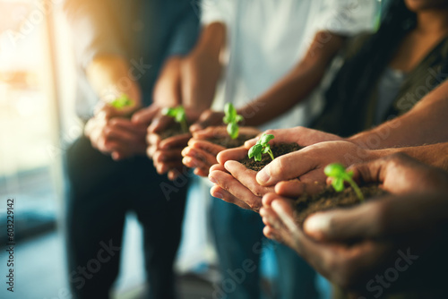 Plant, sustainability and environment with hands of business people for teamwork, earth and support. Collaboration, growth and diversity with employees and soil for future, partnership or community photo