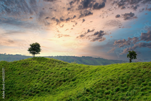 Landscape of green field and beautiful sky