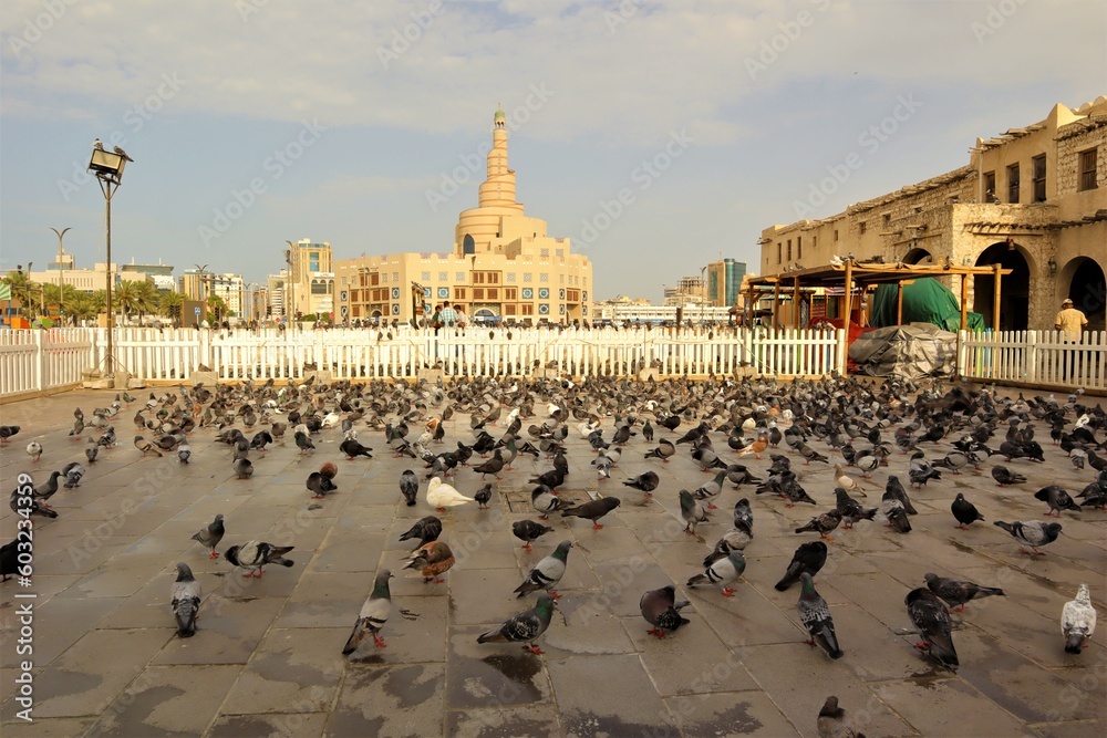 Doha, Qatar - Doha Fanar Mosque.
Pigeons have been accustomed to congregate within a specific area in the Souq Waqif square in front of the mosque, where grain is scattered to feed it