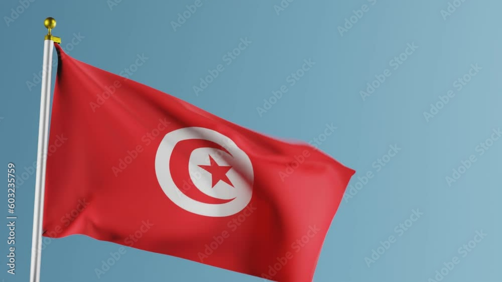 Waving flag of Tunisia. 3D Animation of the tunisian national flag
