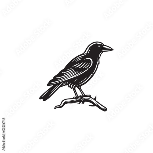 crow on lamb twig . raven, crow, black, logo icon