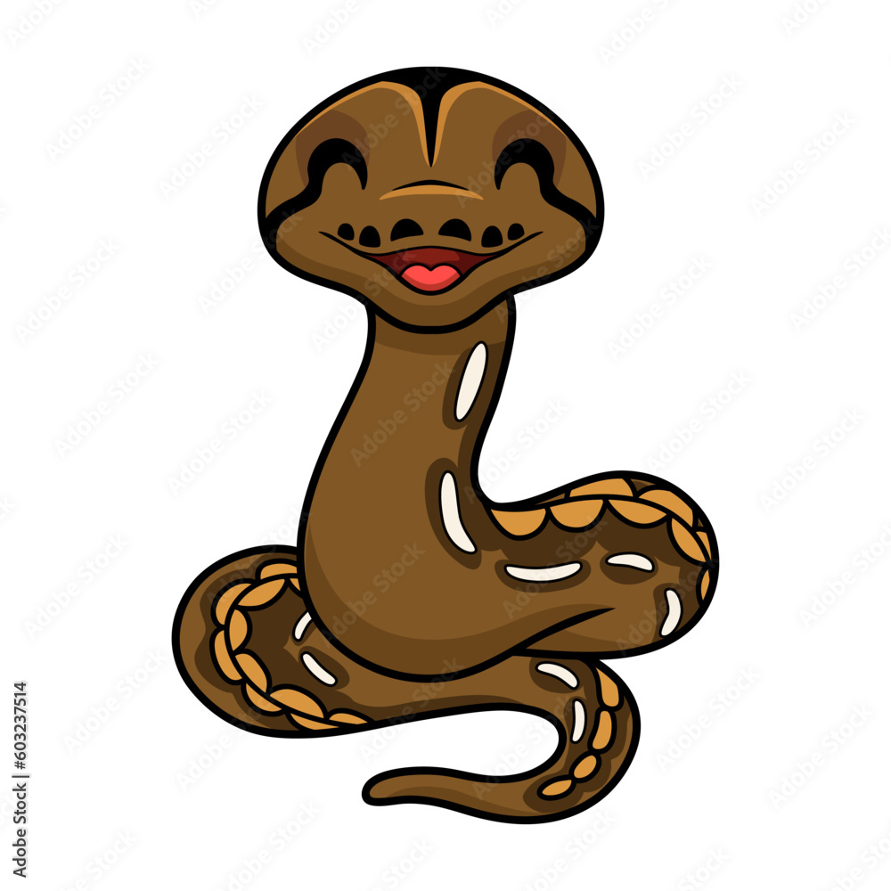 Cute tiger reticulatus python cartoon Cute tiger reticulatus python cartoon