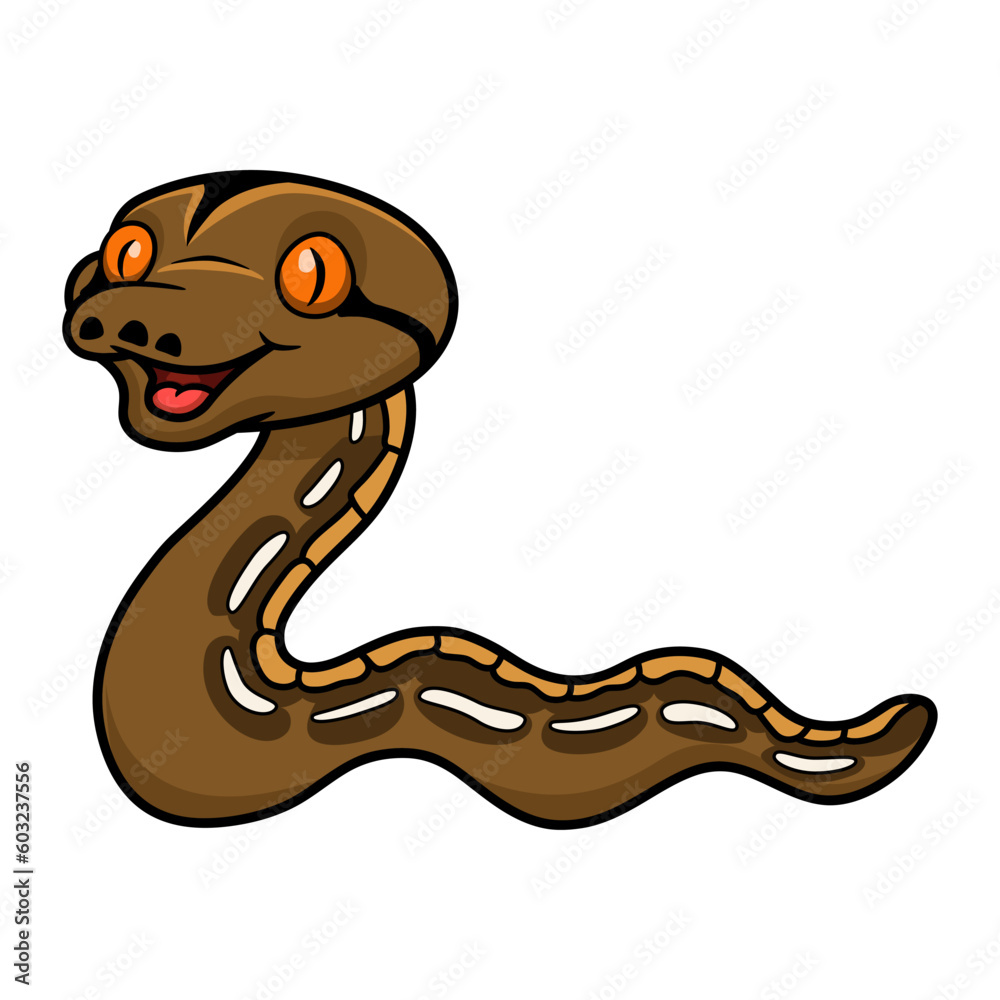 Cute tiger reticulatus python cartoon Cute tiger reticulatus python cartoon