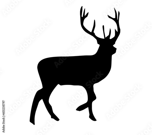 silhouette of deer © Baba