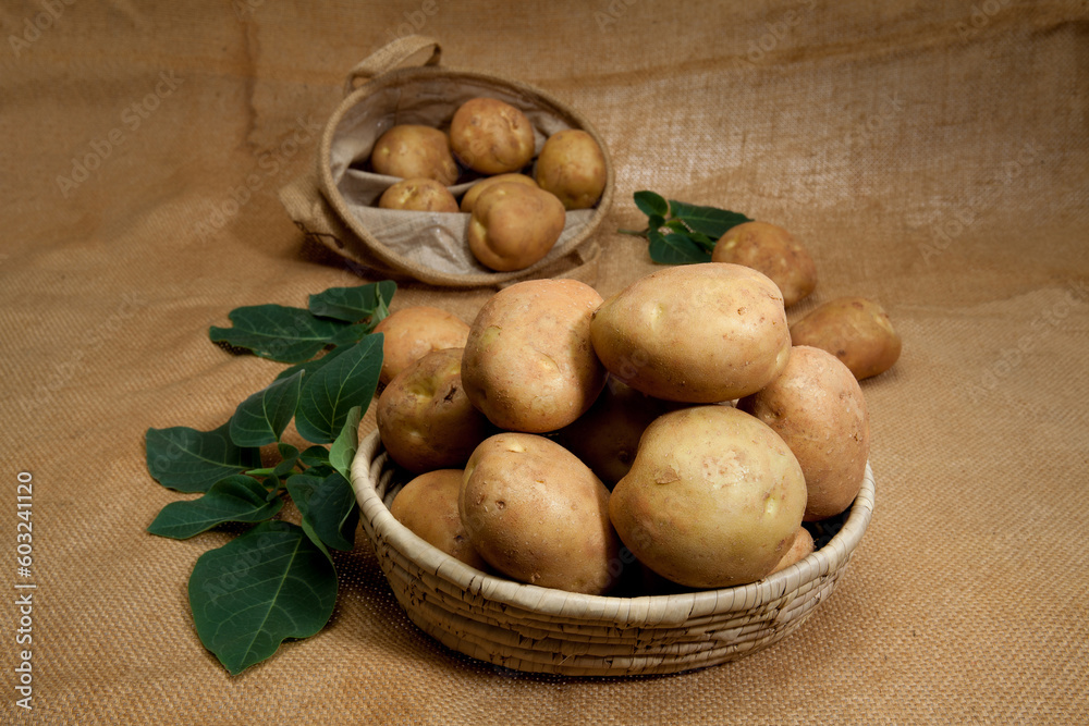 potato potato