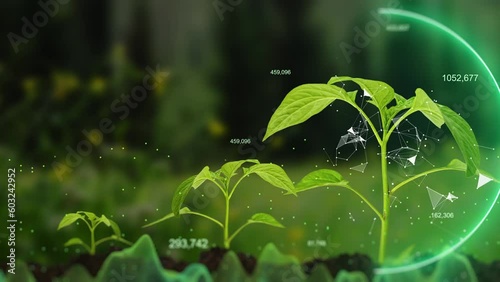 Agricultural technologies for growing plants and scientific research in the field of biology and chemistry of nature. Living green sprout in the hands of a farmer. Organic digital background