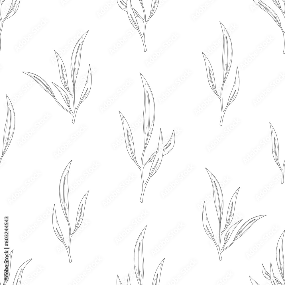 Eucalyptus nicholii leaf twig seamless pattern black line. Vintage editable stroke tree foliage natural branch tropical floral texture hand drawn plant botanical wallpaper fabric wrap greetings paper Eucalyptus nicholii leaf twig seamless pattern black line. Vintage editable stroke tree foliage natural branch tropical floral texture hand drawn plant botanical wallpaper fabric wrap greetings paper