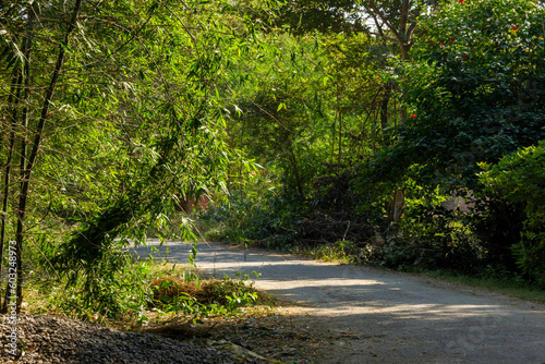 A landscape view of a village of uttar pradesh photo